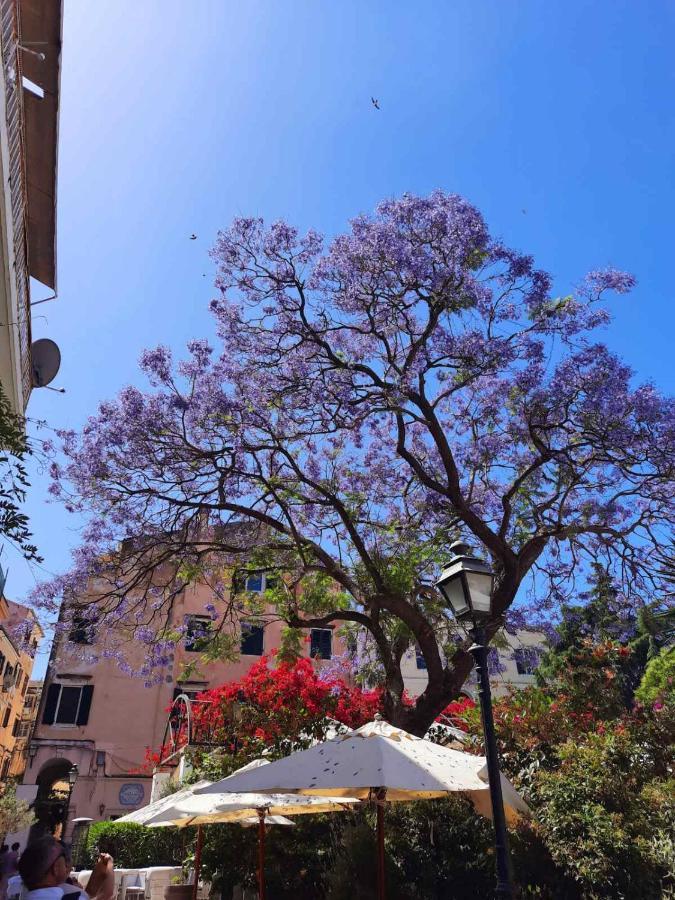 Jacaranda Corfu Old Town Apt Corfu (city) Exterior foto